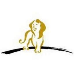 https://www.mncjobs.co.za/company/anglogold-ashanti