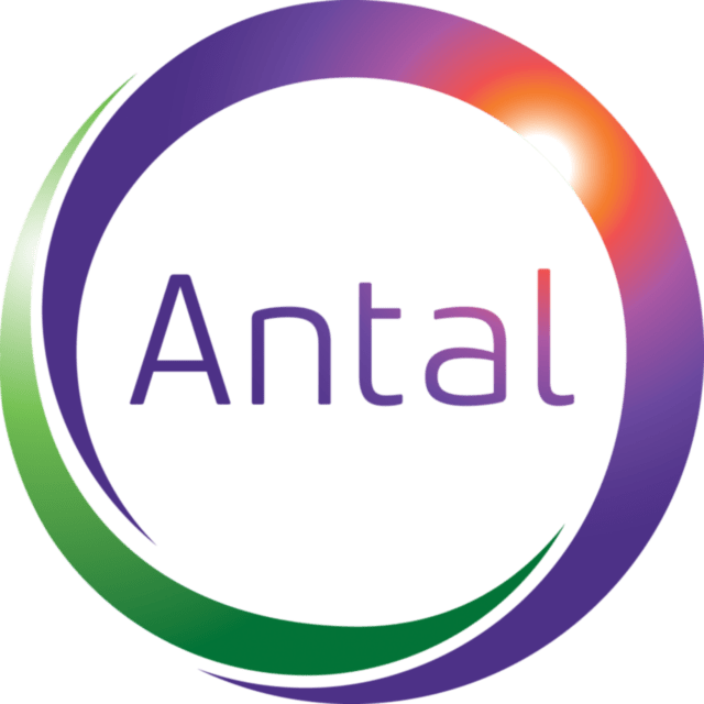 https://www.mncjobs.co.za/company/antal-international