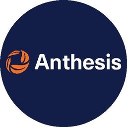 https://www.mncjobs.co.za/company/anthesis-group