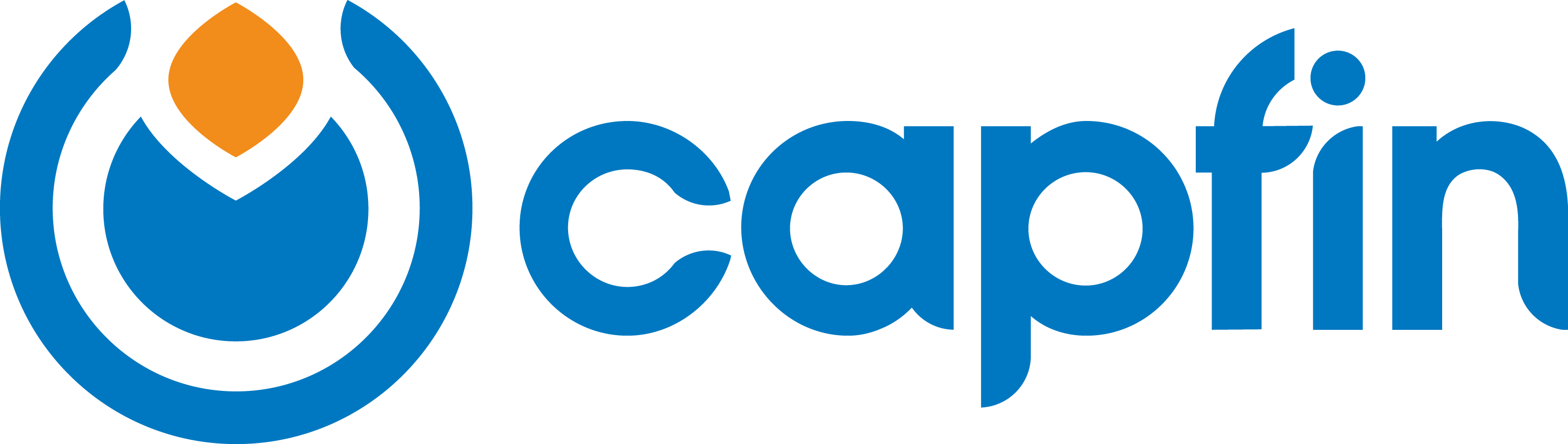 https://www.mncjobs.co.za/company/capfin