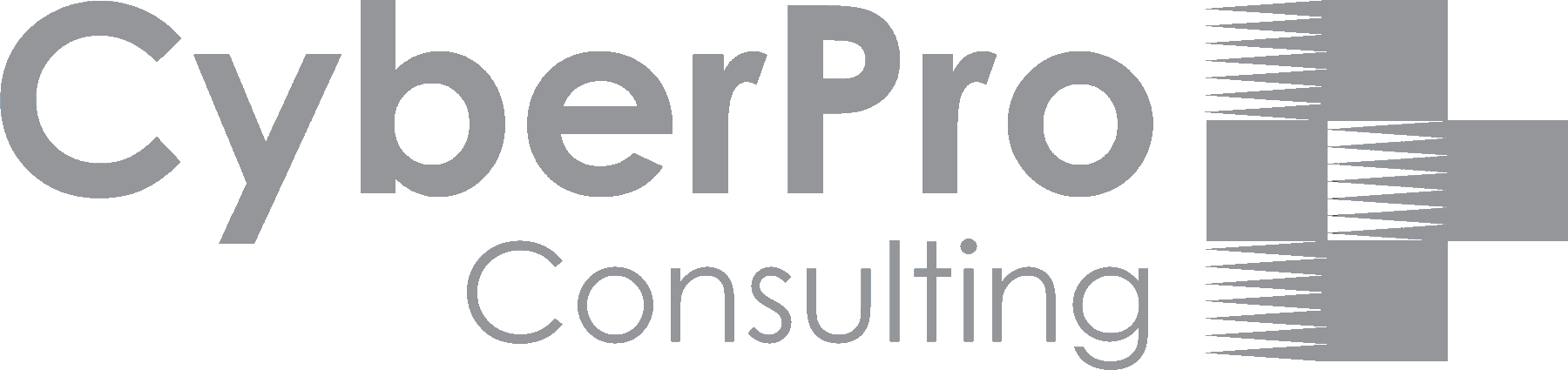 https://www.mncjobs.co.za/company/cyberpro-consulting