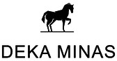 https://www.mncjobs.co.za/company/deka-minas