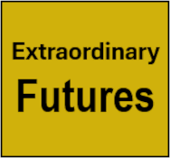 https://www.mncjobs.co.za/company/extraordinary-futures