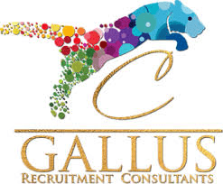 https://www.mncjobs.co.za/company/gallus-recruitment-consultants