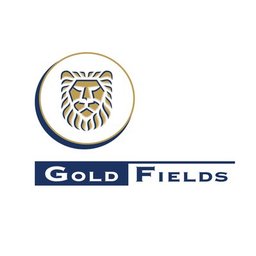 https://www.mncjobs.co.za/company/gold-fields