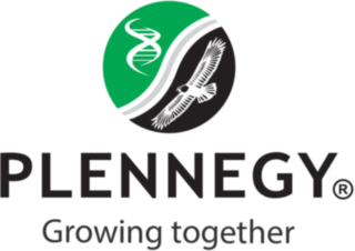 https://www.mncjobs.co.za/company/plennegy