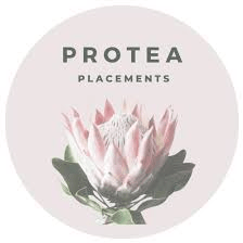 https://www.mncjobs.co.za/company/protea-placements
