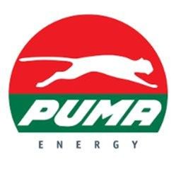 https://www.mncjobs.co.za/company/puma-energy