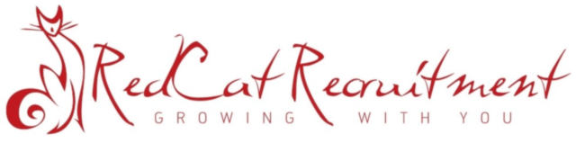 https://www.mncjobs.co.za/company/redcat-recruitment