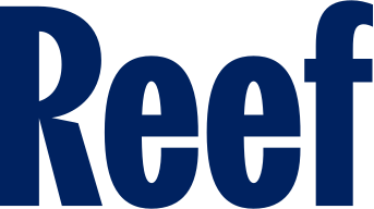 https://www.mncjobs.co.za/company/reef