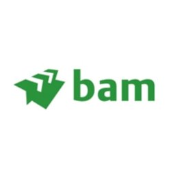 https://www.mncjobs.co.za/company/royal-bam-group