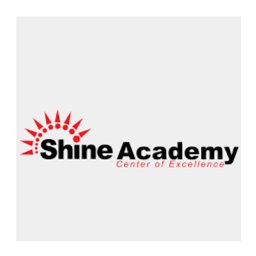 https://www.mncjobs.co.za/company/shine-academy