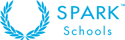 https://www.mncjobs.co.za/company/spark-schools