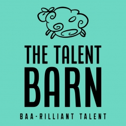 https://www.mncjobs.co.za/company/the-talent-barn