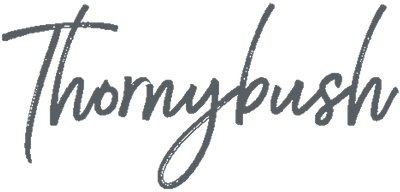 https://www.mncjobs.co.za/company/thornybush