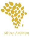 https://www.mncjobs.co.za/company/african-ambition-consulting