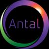 https://www.mncjobs.co.za/company/antal-international