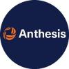 https://www.mncjobs.co.za/company/anthesis-group