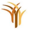 https://www.mncjobs.co.za/company/dbsa