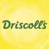 https://www.mncjobs.co.za/company/driscolls