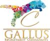 https://www.mncjobs.co.za/company/gallus-recruitment-consultants