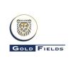 https://www.mncjobs.co.za/company/gold-fields
