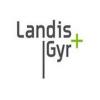 https://www.mncjobs.co.za/company/landisgyr