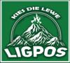 https://www.mncjobs.co.za/company/ligpos
