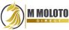 https://www.mncjobs.co.za/company/m-moloto-direct