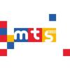 https://www.mncjobs.co.za/company/mts-globe