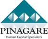 https://www.mncjobs.co.za/company/pinagare
