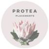 https://www.mncjobs.co.za/company/protea-placements
