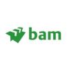 https://www.mncjobs.co.za/company/royal-bam-group