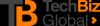 https://www.mncjobs.co.za/company/techbiz-global
