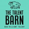 https://www.mncjobs.co.za/company/the-talent-barn