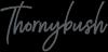 https://www.mncjobs.co.za/company/thornybush