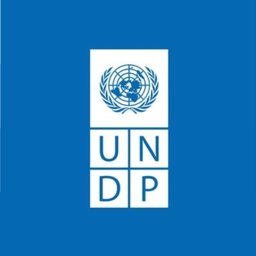https://www.mncjobs.co.za/company/united-nations-development-programme