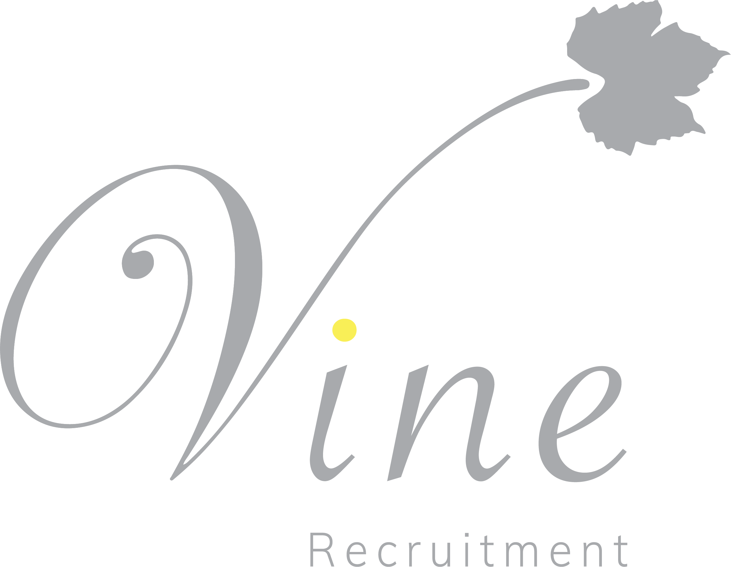 https://www.mncjobs.co.za/company/vine-recruitment