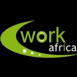 https://www.mncjobs.co.za/company/work-africa