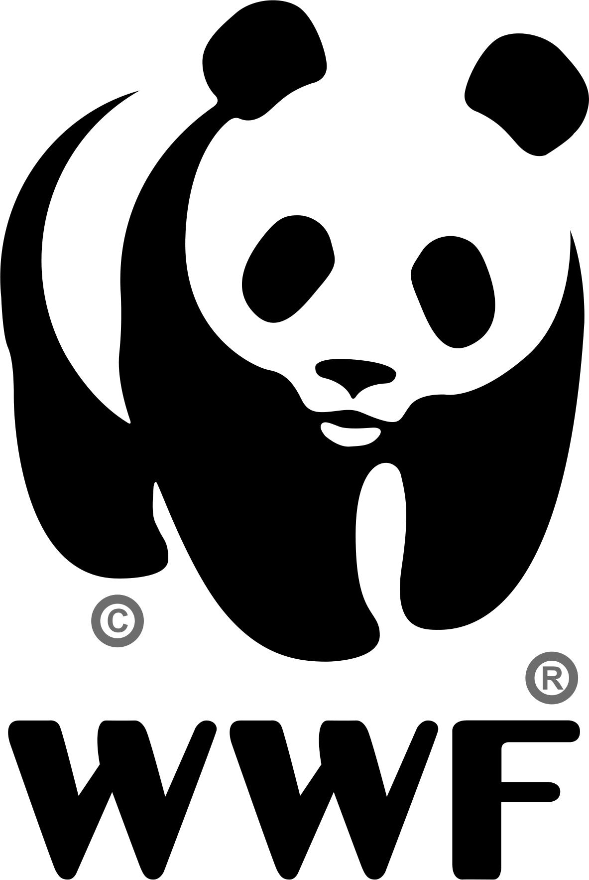 https://www.mncjobs.co.za/company/wwf