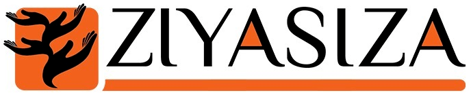 https://www.mncjobs.co.za/company/ziyasiza-consulting